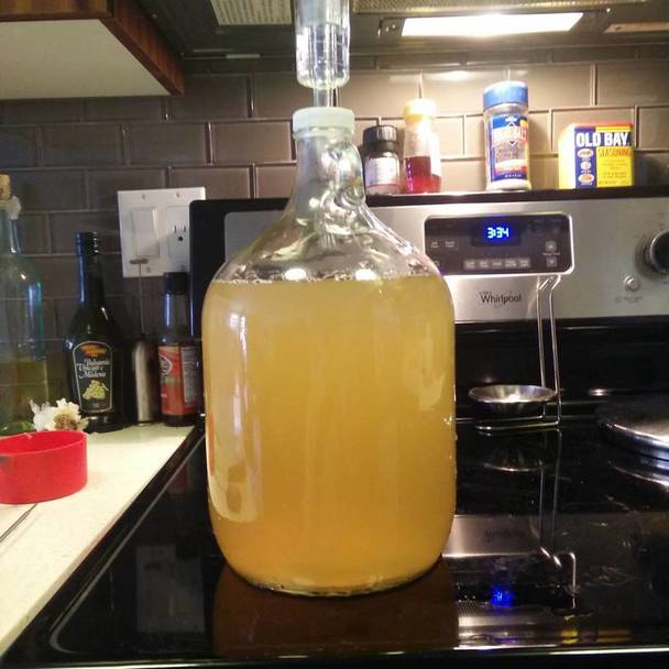 Ginger Beer in Carboy