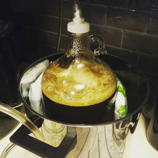 Fermenting Gingered Ale